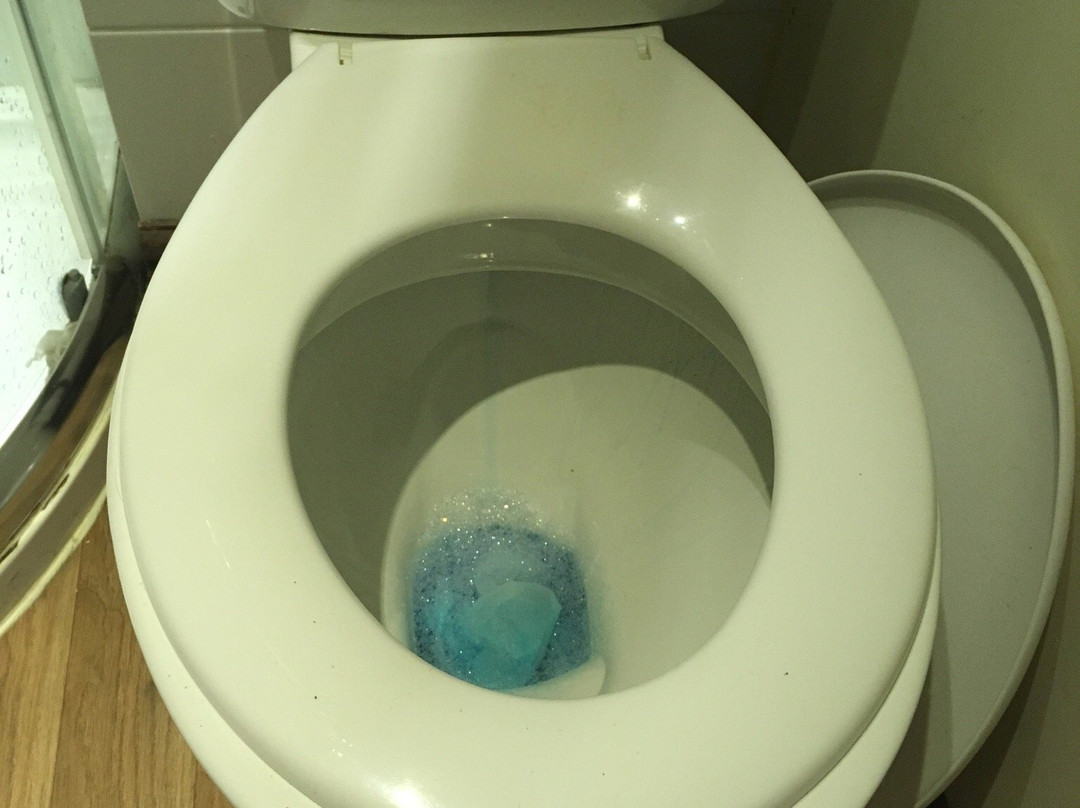 The Castle / Y Castell Pwllheli主图