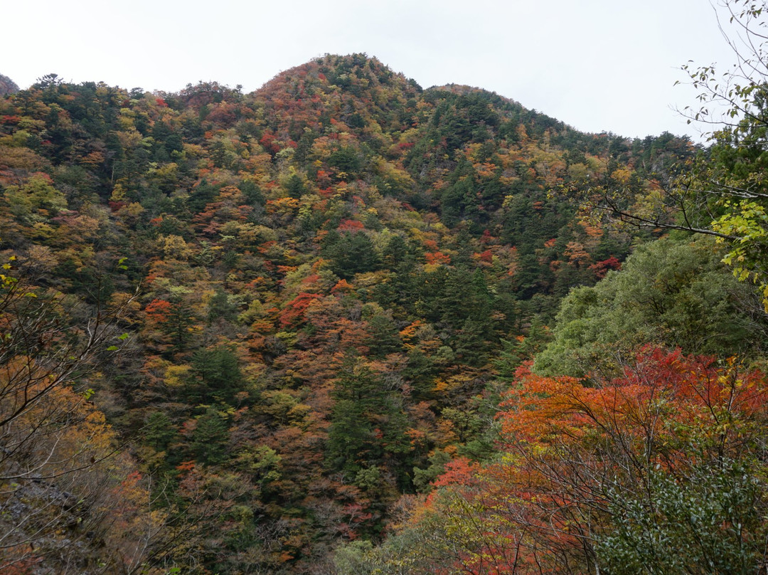 Konose Gorge-那贺町必去景点
