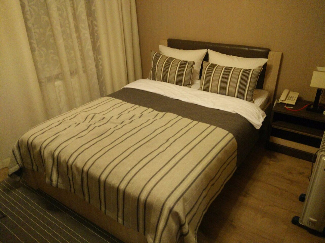 Votkinsk酒店住宿-Siluet