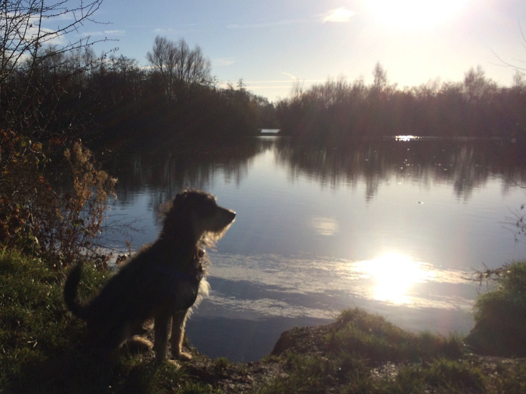 Bodenham Lake Nature Reserve景点图片