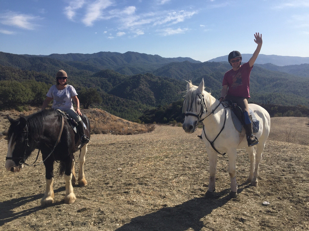 Ride in Cyprus Ltd-Melandra必去景点