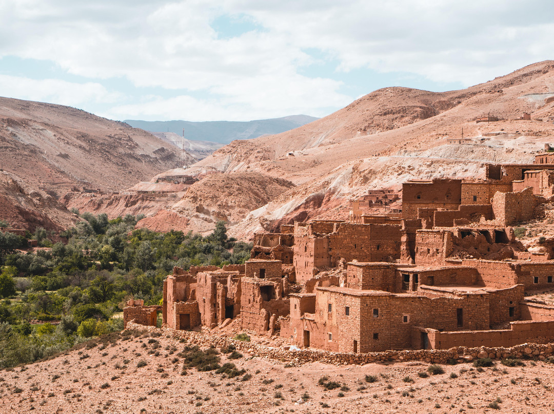 Enjoy Sahara Tours景点图片