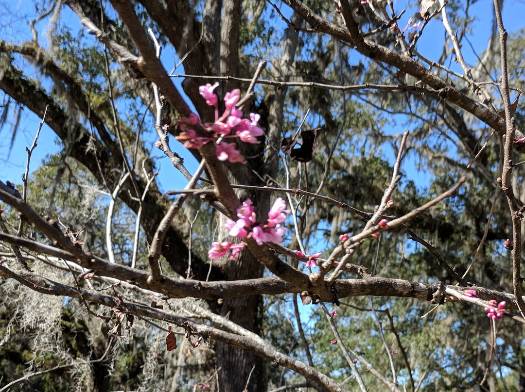 Moody Homestead Park-Bunnell必去景点