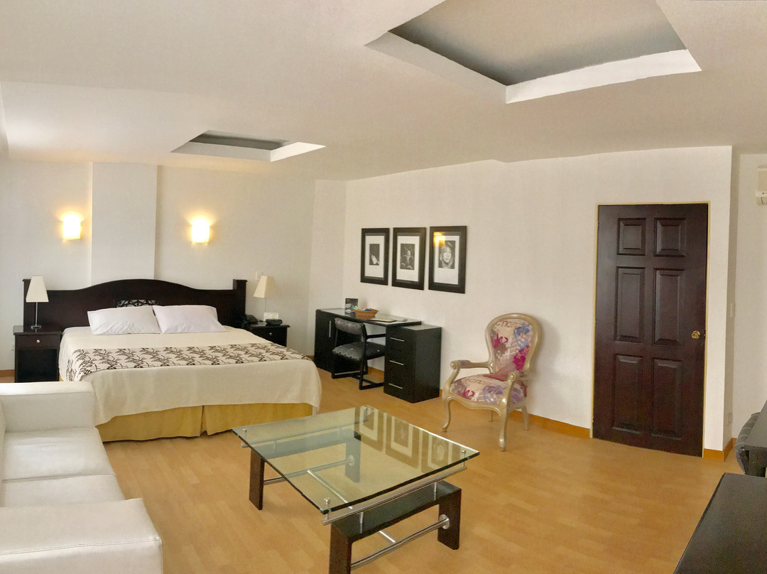 Hotel Bolivar Plaza主图