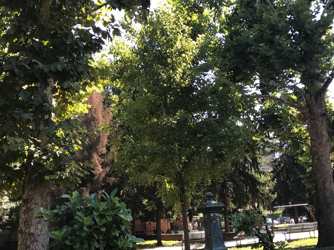 Parco dell`ex Ospedale Psichiatrico Paolo Pini景点图片