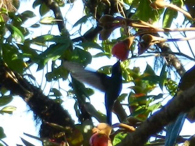 Inspiracion Viajes-昆卡必去景点