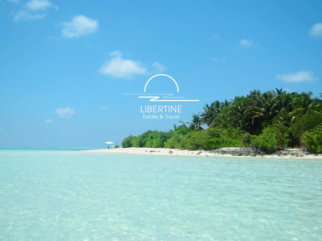 Libertine - Estate & Travel主图