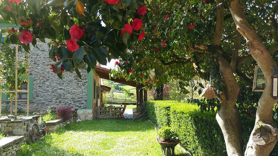 Casa Rural La Pumarada de Limés主图