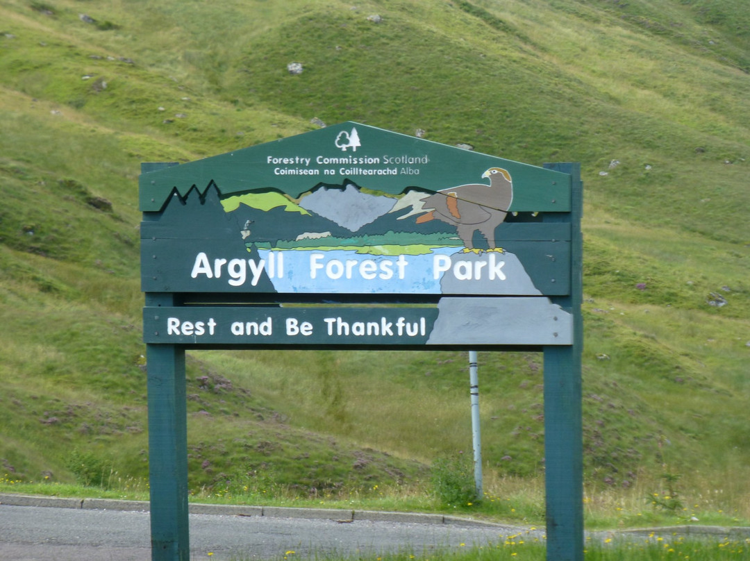 Argyll Forest Park-达农必去景点