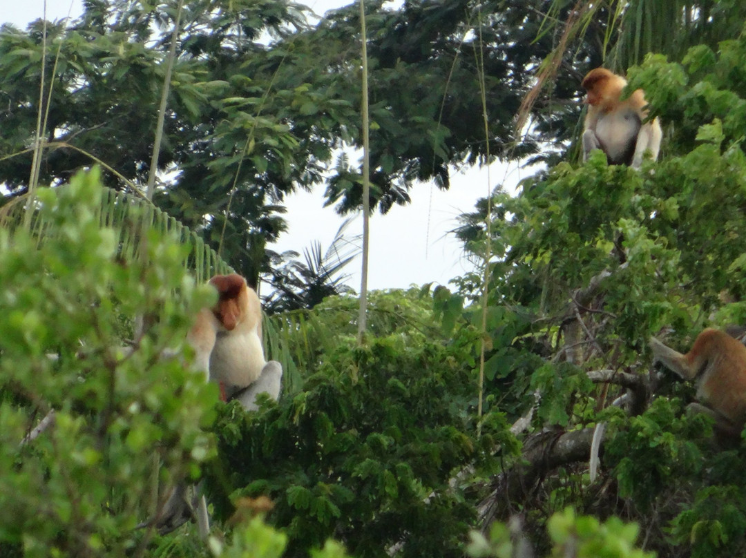 KK Leisure Tour & Rent A Car-亚庇必去景点