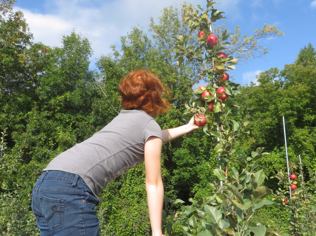 Mountain Orchards景点图片