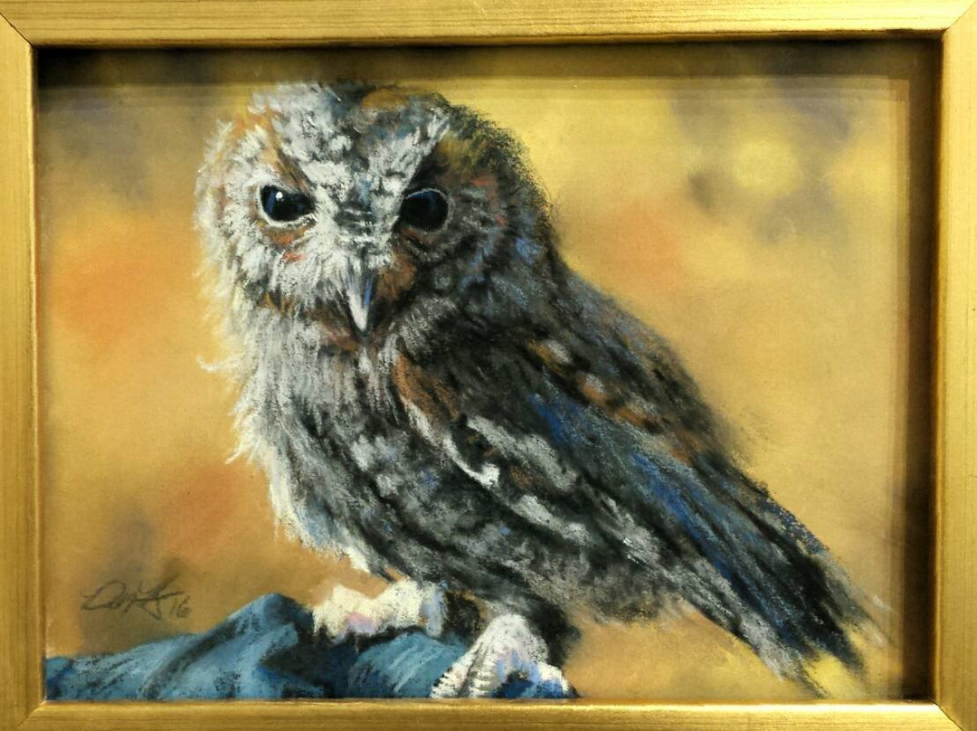 Arts Prescott Cooperative Gallery-普雷斯科特必去景点