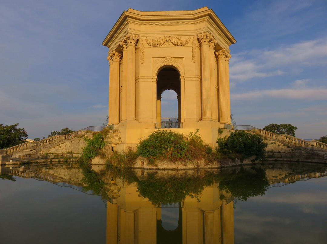 Marche aux Puces du Peyrou景点图片