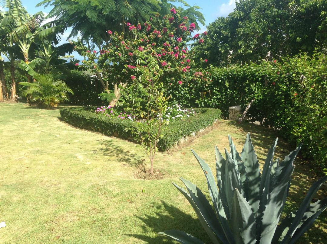 Villa Esperanza Bed & Breakfast主图