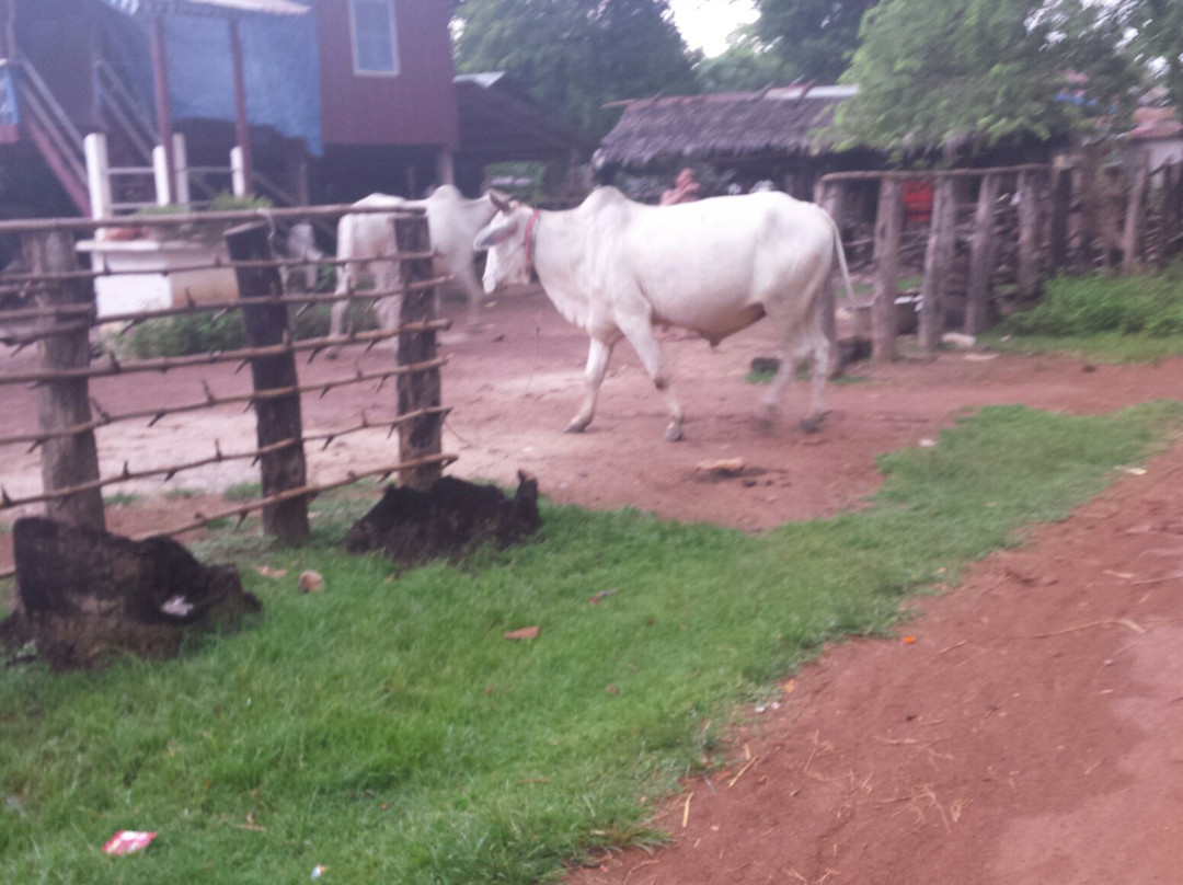 Ondong Rossey-Kampong Chhnang必去景点