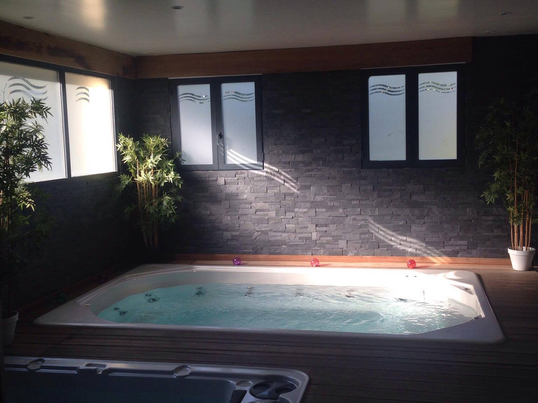 Espace Spa Bien Etre Cornebarrieu景点图片