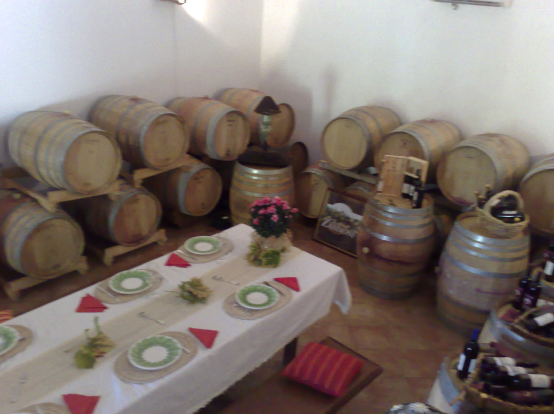 Azienda Agricola Giomi Zannoni-Venturina Terme必去景点