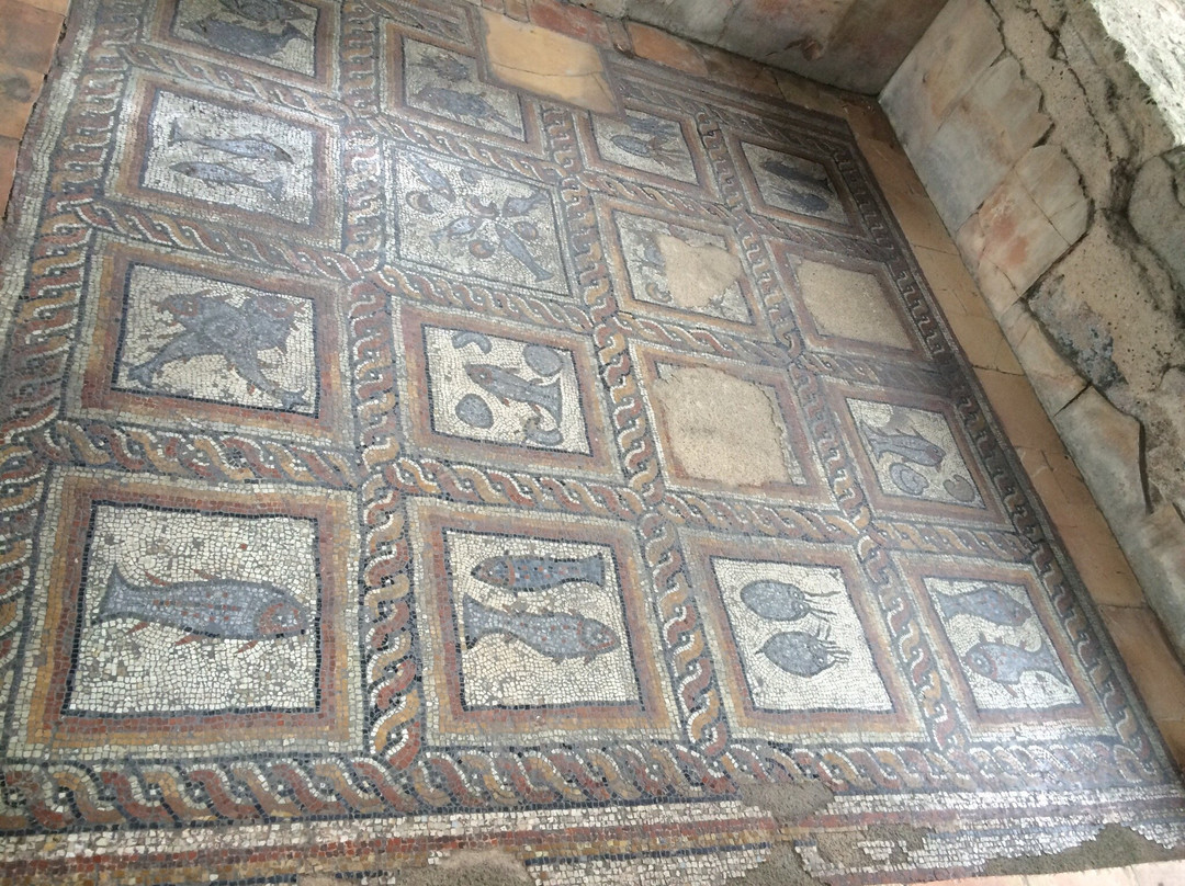 Montcaret Archaeological Site景点图片
