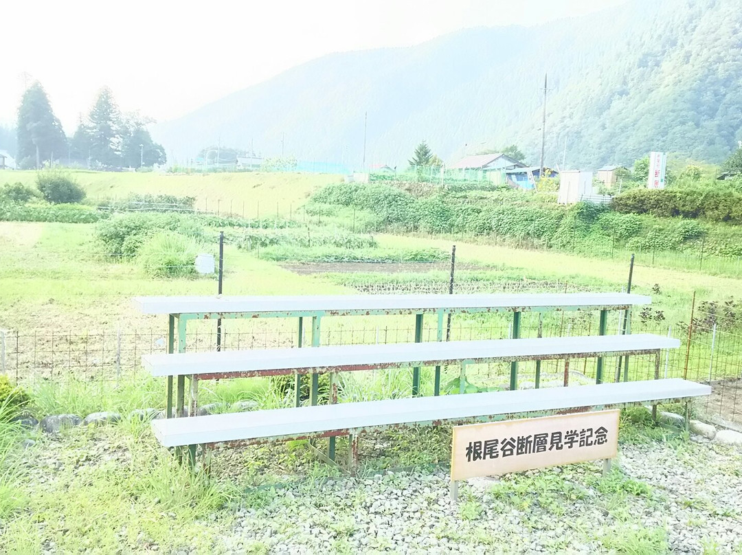 Noedani Fault-本巢市必去景点