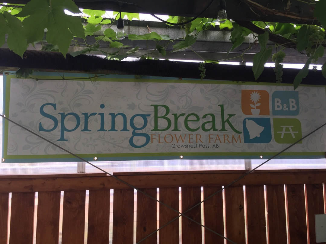 SpringBreak Flower Farm B&B主图