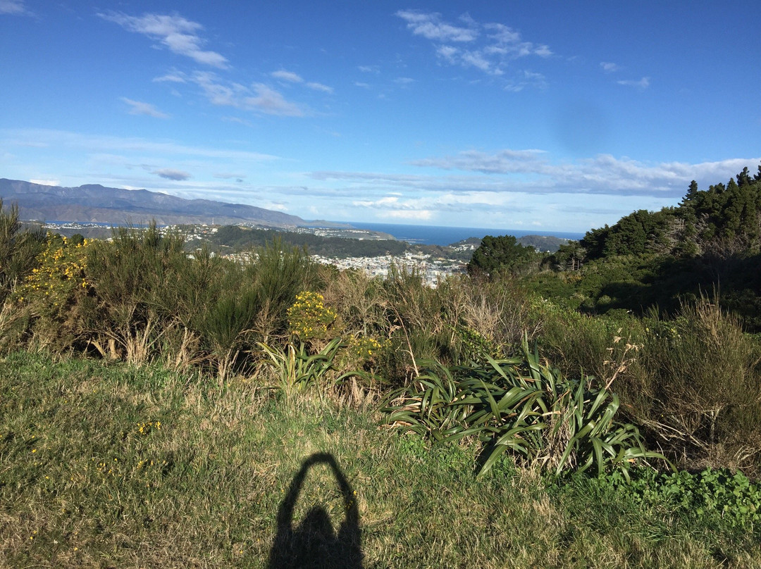 Tinakori Hill-惠灵顿必去景点
