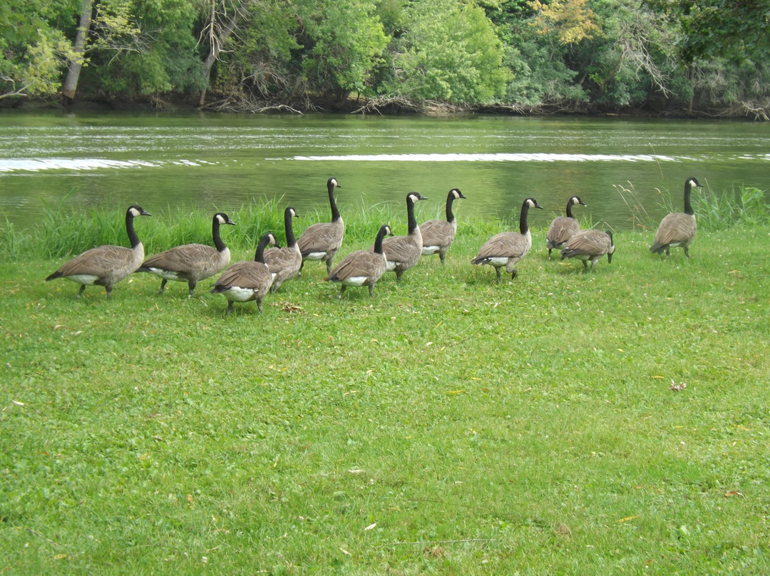 Riverside Park-Janesville必去景点