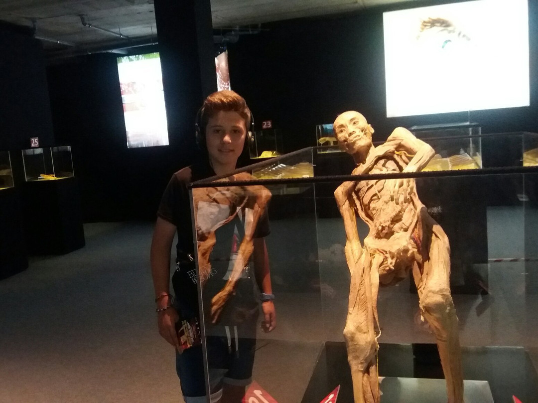 Myth of the Human Body-帕塞必去景点