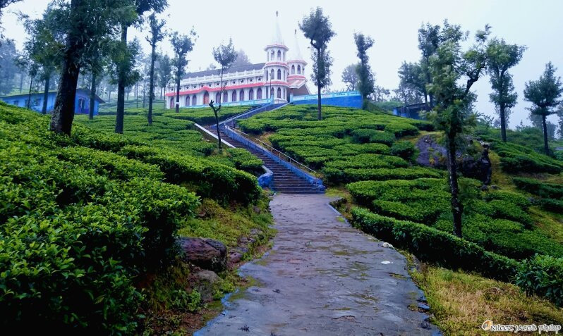 Karamalai Annai Velankanni Church景点图片