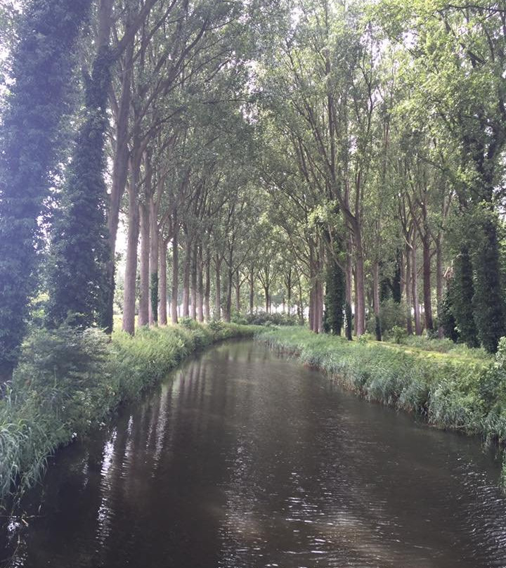Bruges to Damme Bike Tour景点图片