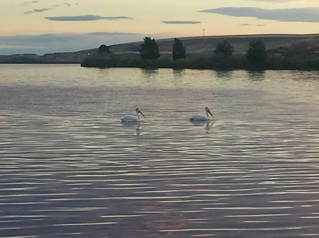 Sprague Lake Resort-Sprague必去景点