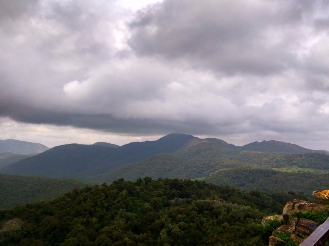 Biligiri Rangaswamy Temple景点图片