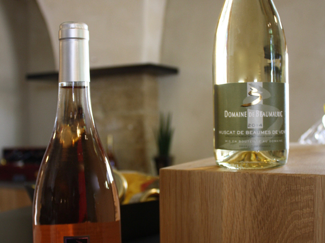 Caveau Xavier Vins - Domaine de Beaumalric景点图片