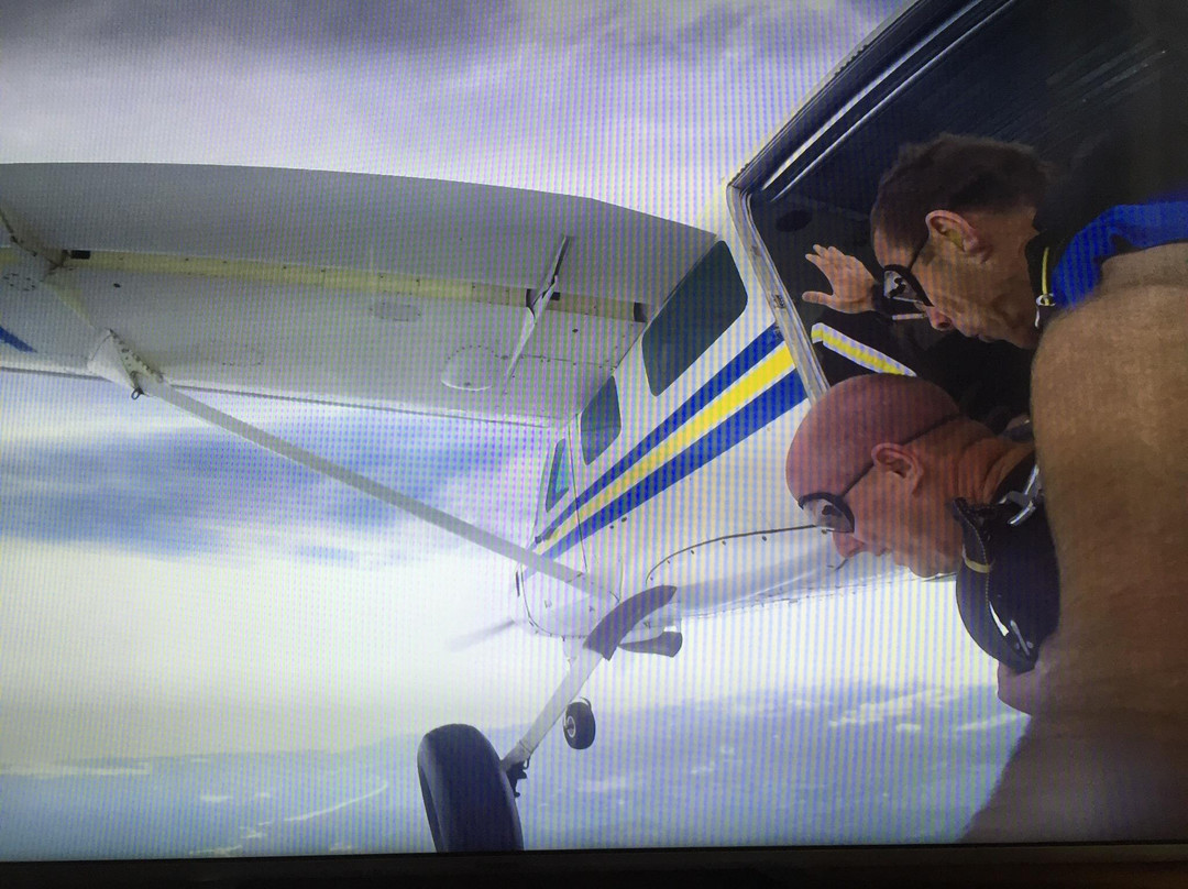 Skydive Newcastle景点图片