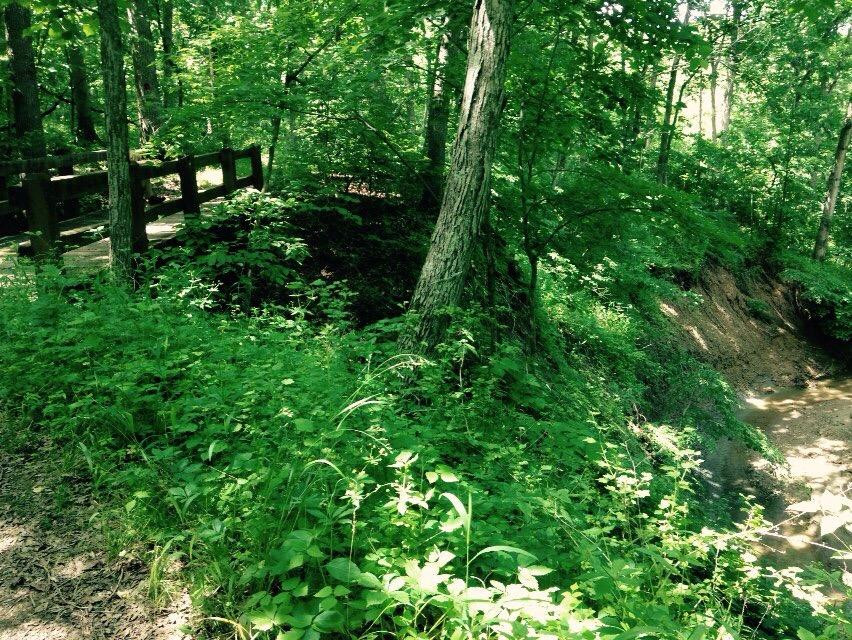 Wallace State Park-Cameron必去景点