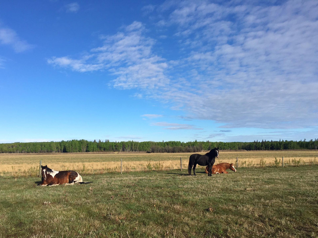 Sunset Ranch B&B主图