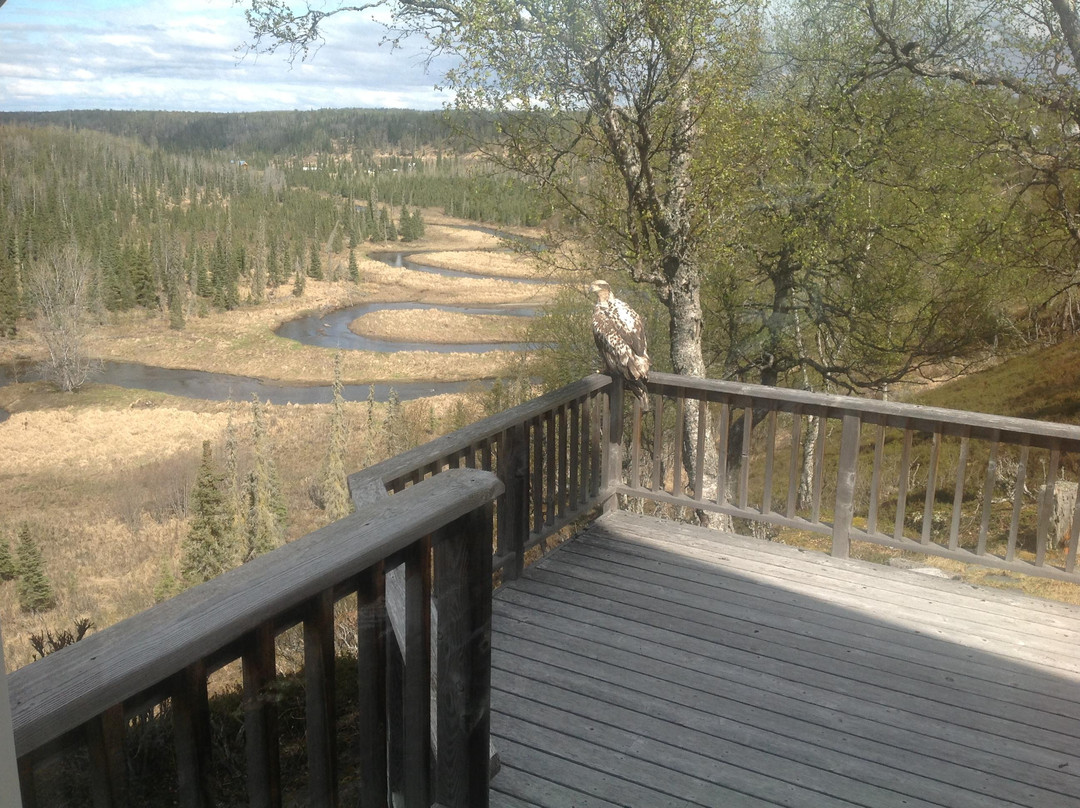 Meander In B&B主图