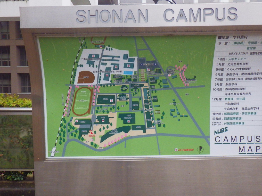 Nihon University College Museum of Bioresource Sciences-藤泽市必去景点