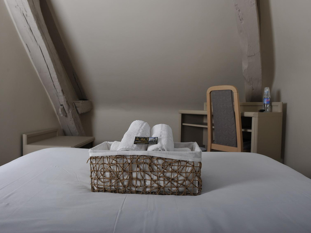 Logis Hôtel le Lion d'Or主图