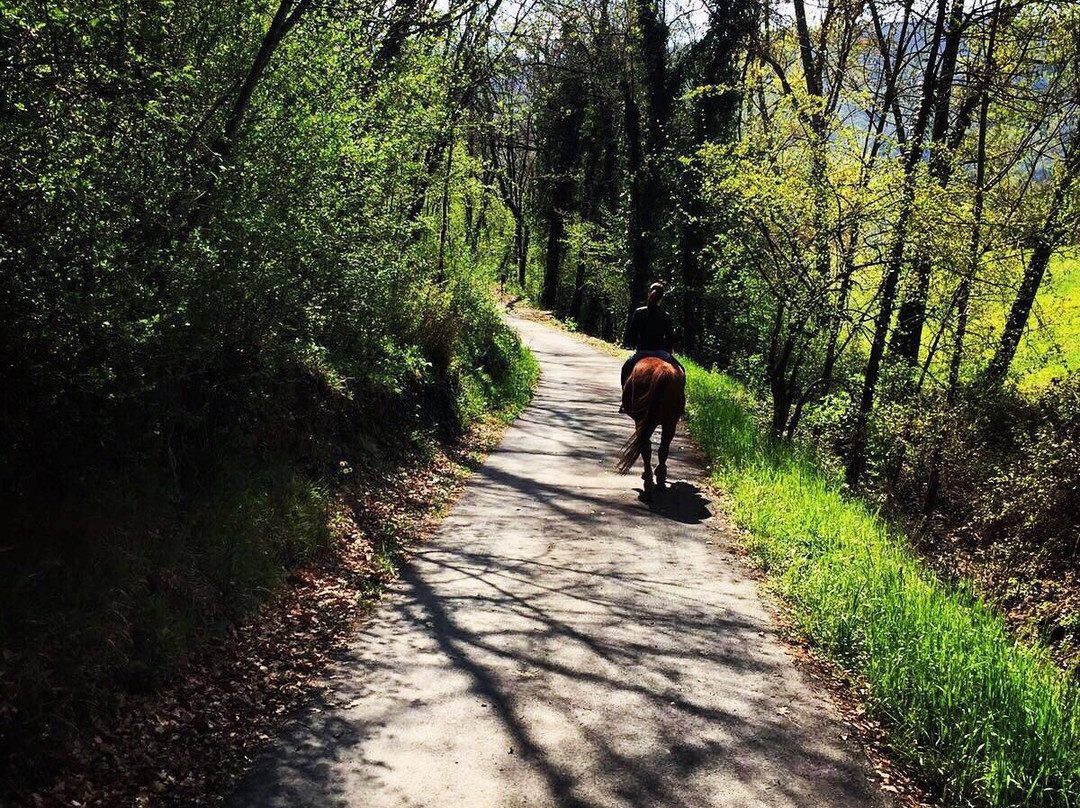 Equitrek Dell'Appennino Asd景点图片