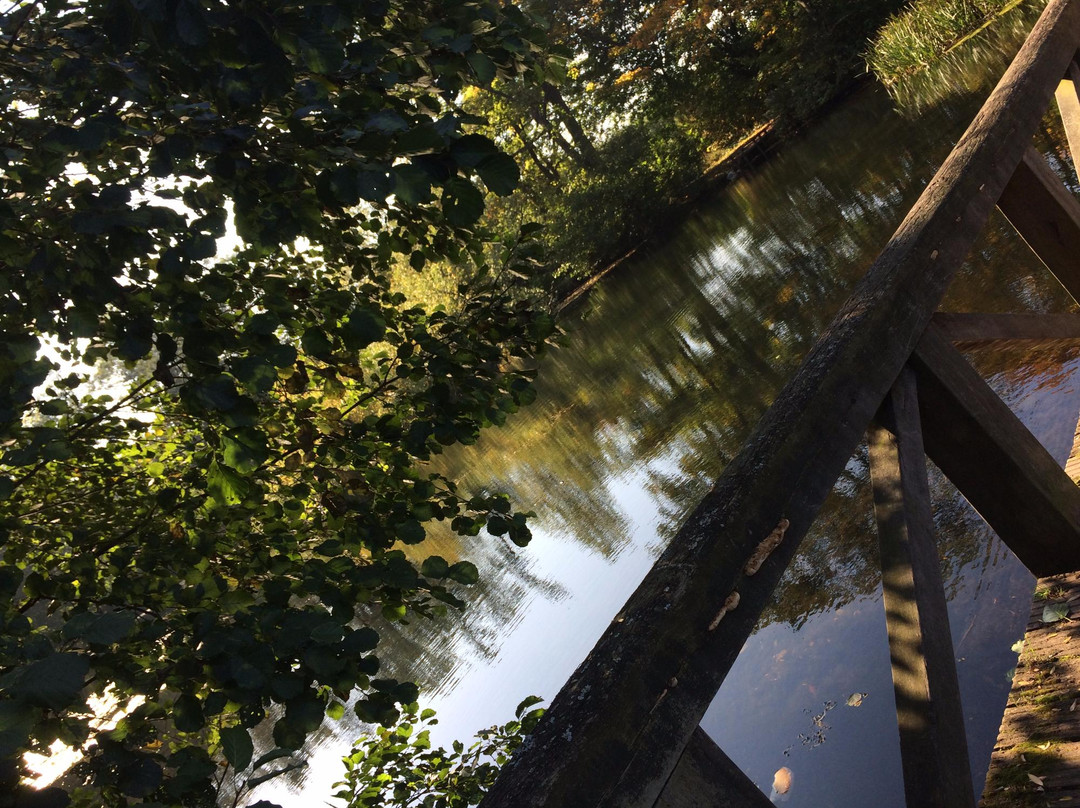 Parc de Séroule景点图片