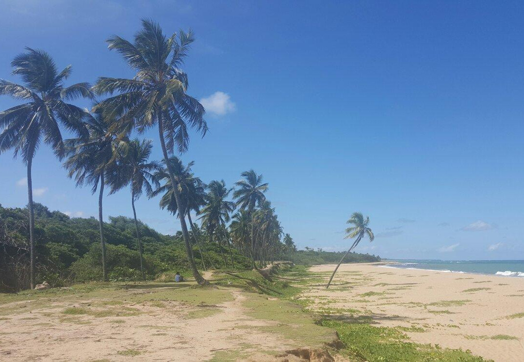 Jacarecica Beach-Maceio必去景点