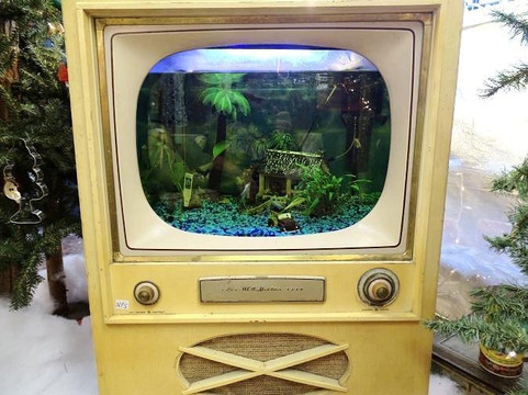 Nostalgia-诺克斯维尔必去景点