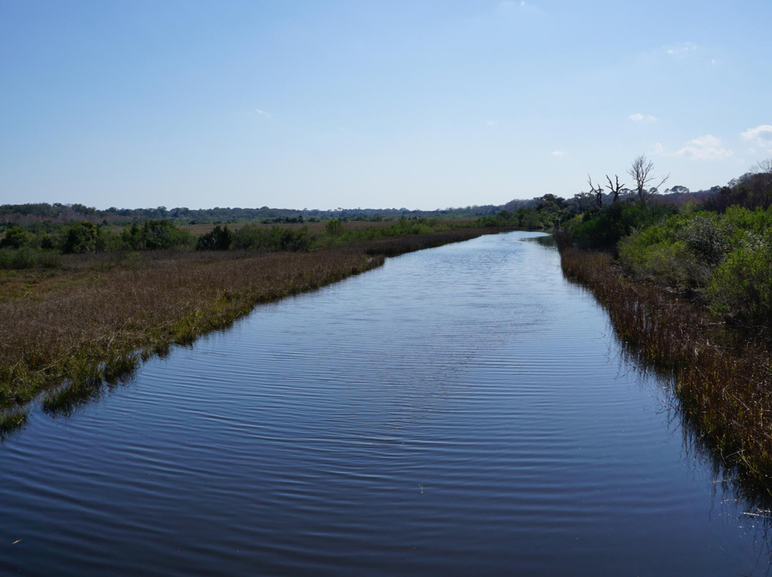 Beach Rentals And More-费尔南迪纳岛必去景点