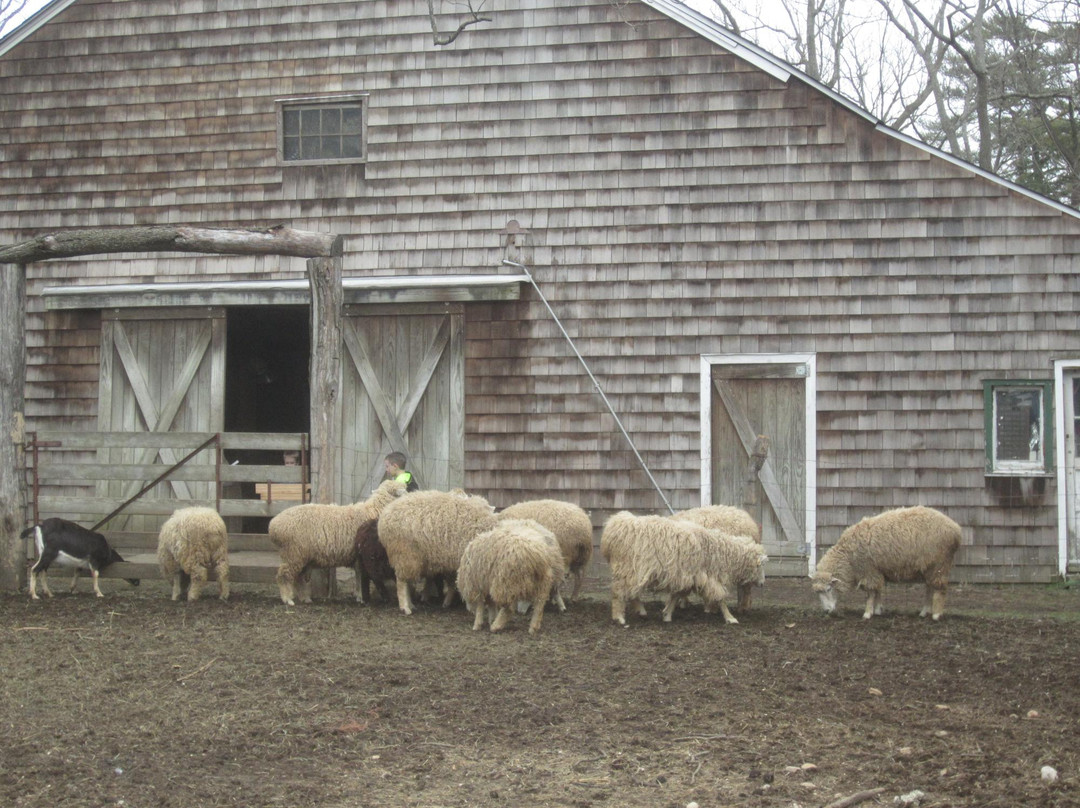 Benner's Farm-East Setauket必去景点