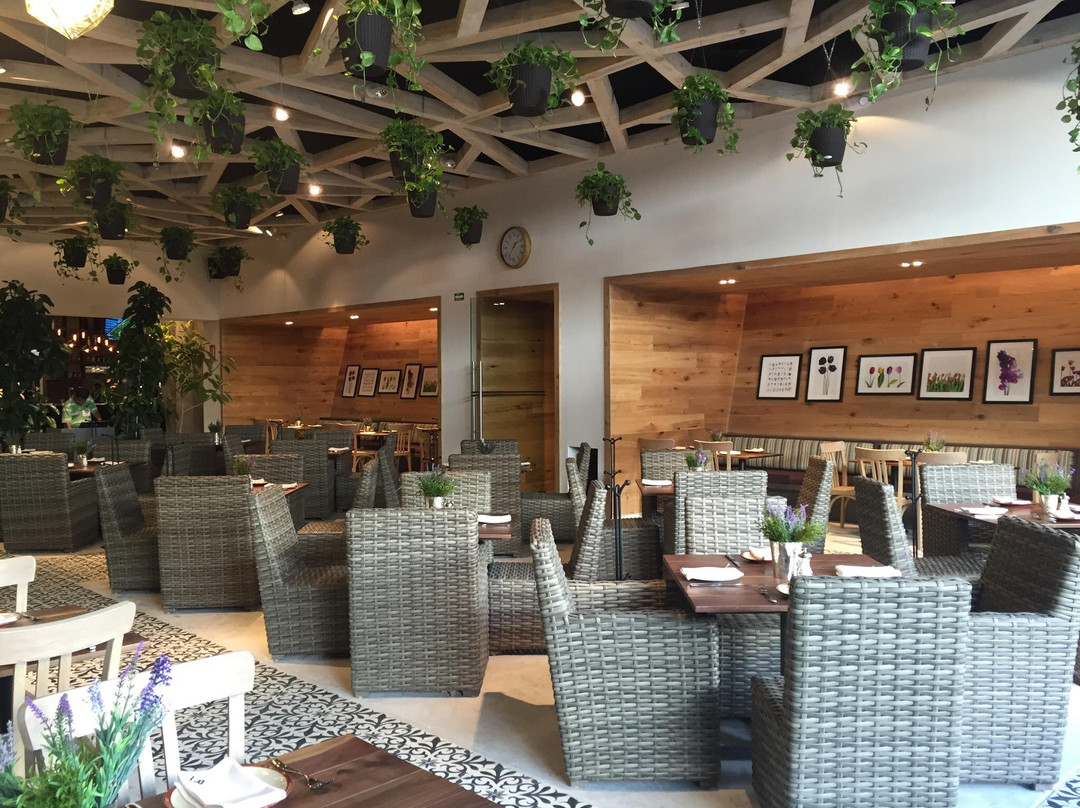 Rollins-蒙特雷必去景点