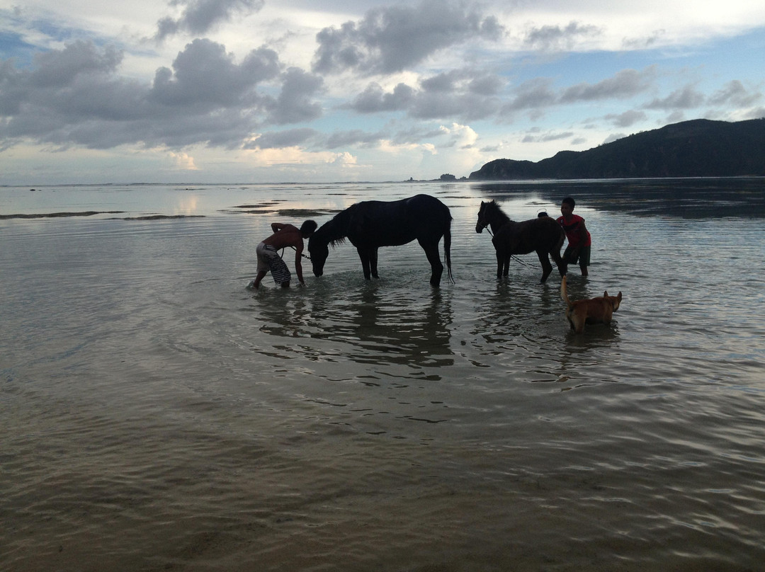 Kuta Horses-Kuta必去景点