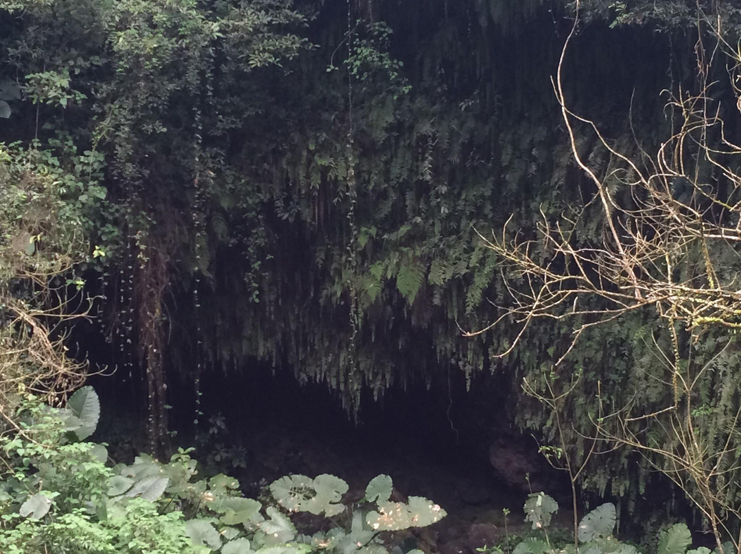 雷琼世界地质公园-海口市必去景点