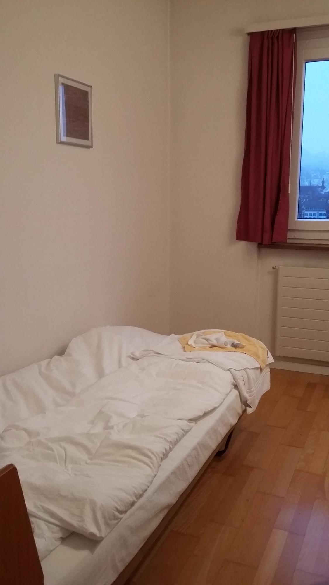 瑟米纳豪斯布鲁切马特酒店-官方