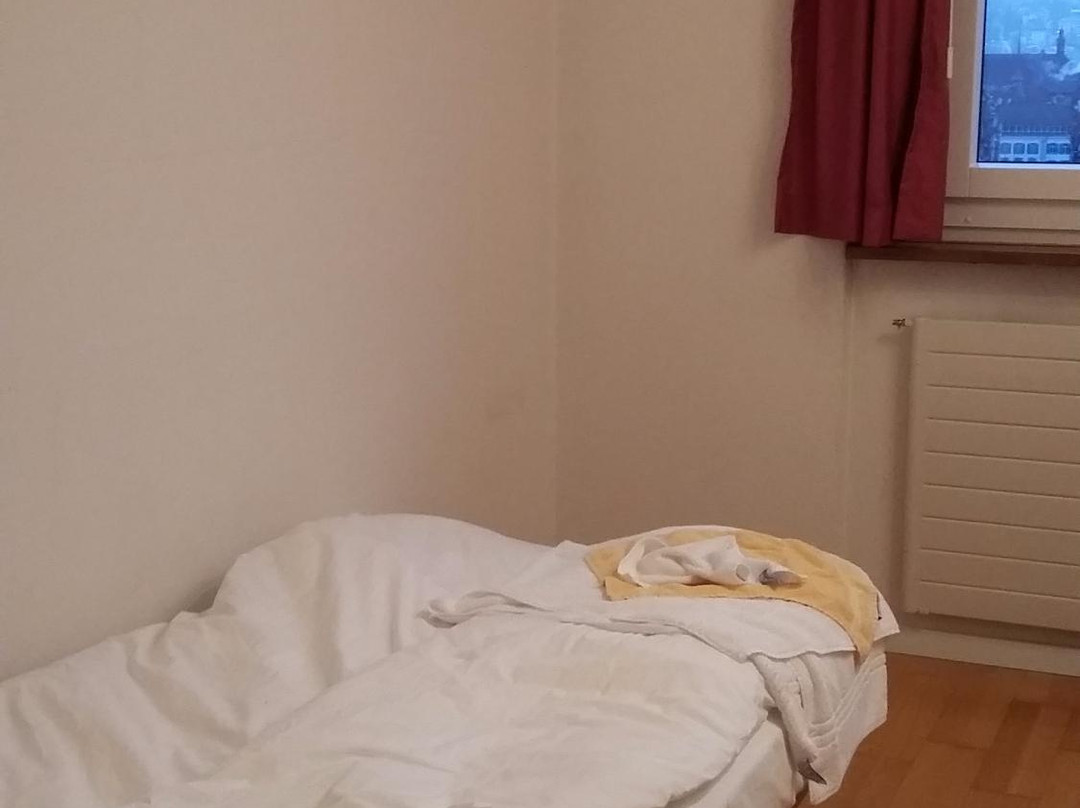 瑟米纳豪斯布鲁切马特酒店主图