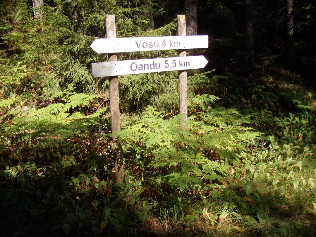 Oandu-Vosu hiking trail景点图片